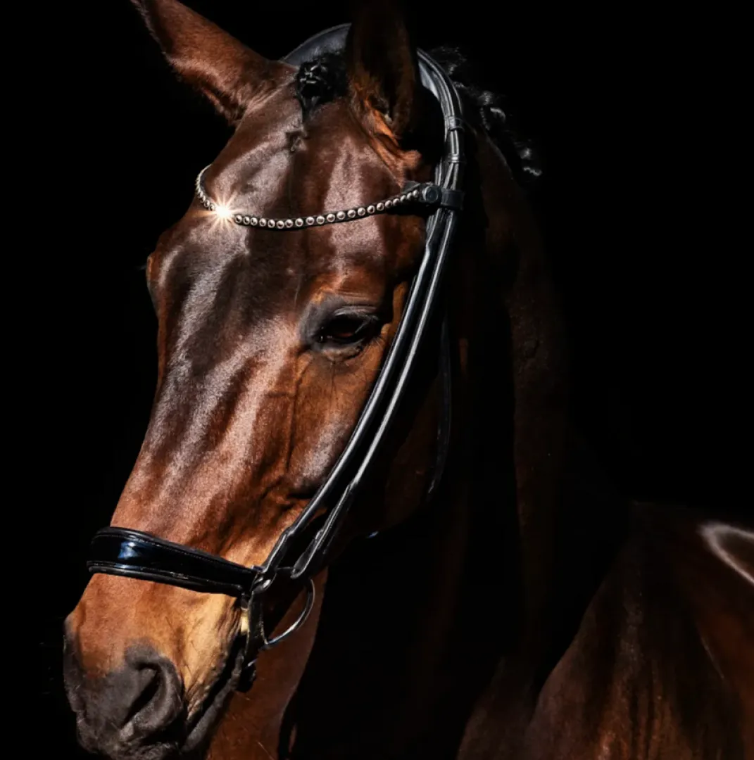 Finesse Spirit Drop Nose Bridle