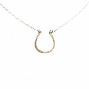 Horseshoe Necklace