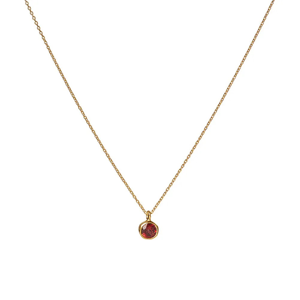 January Birthstone Necklace