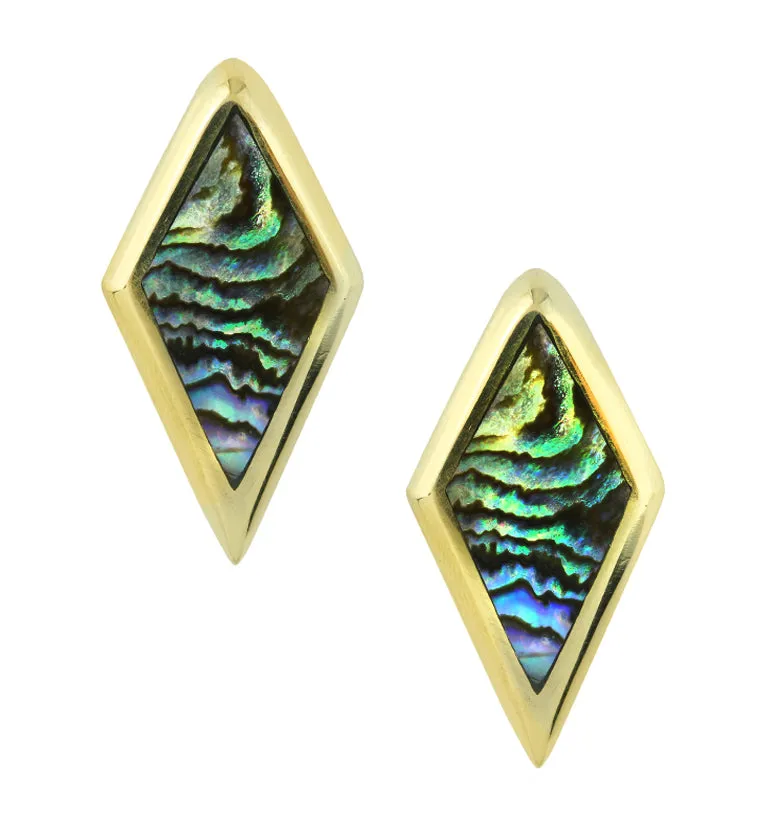 Long Zircon Abalone Brass Ear Weights