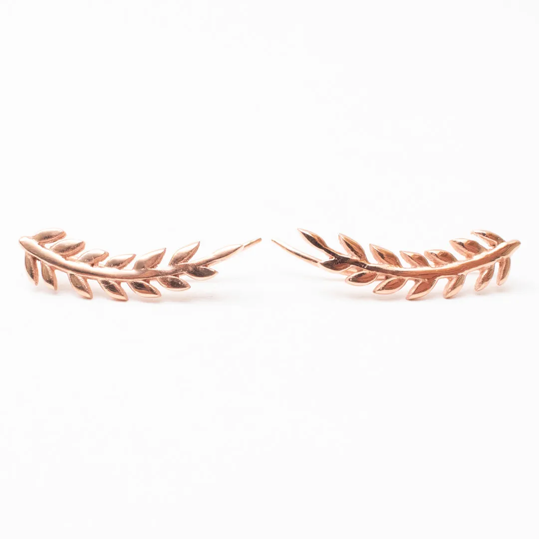 Rose Gold Eden Ear Climbers